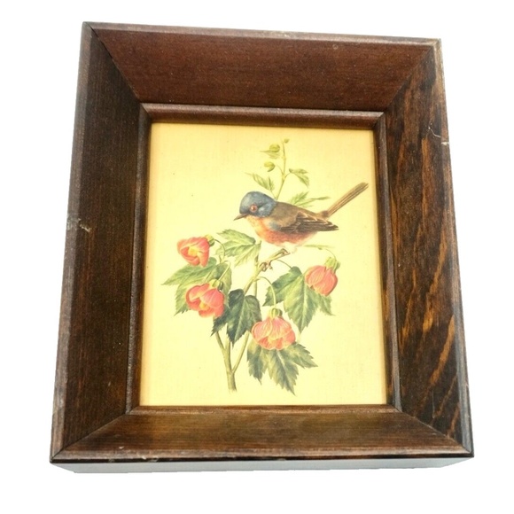 VINTAGE SHADOW BOX FRAMED BIRD & FLOWERS PRINT~6.5” x 5.2” x 1.5” - Picture 1 of 3